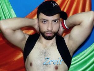 Zevit
