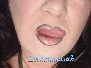 Zoekanaalsub